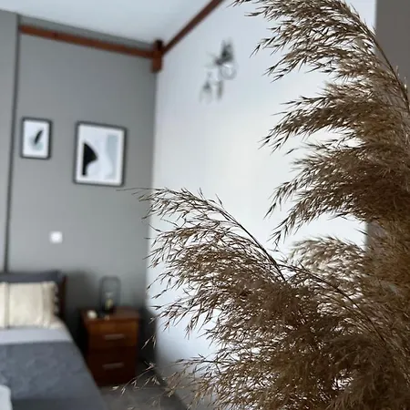 公寓式酒店 Kastalia And 3*